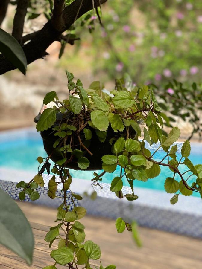 Hotel Boutique Hacienda Guadalupe San Miguel de Allende Ngoại thất bức ảnh
