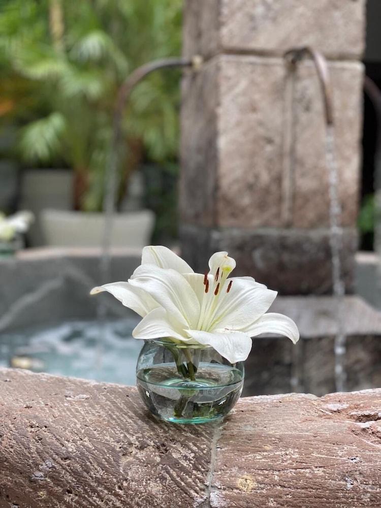 Hotel Boutique Hacienda Guadalupe San Miguel de Allende Ngoại thất bức ảnh